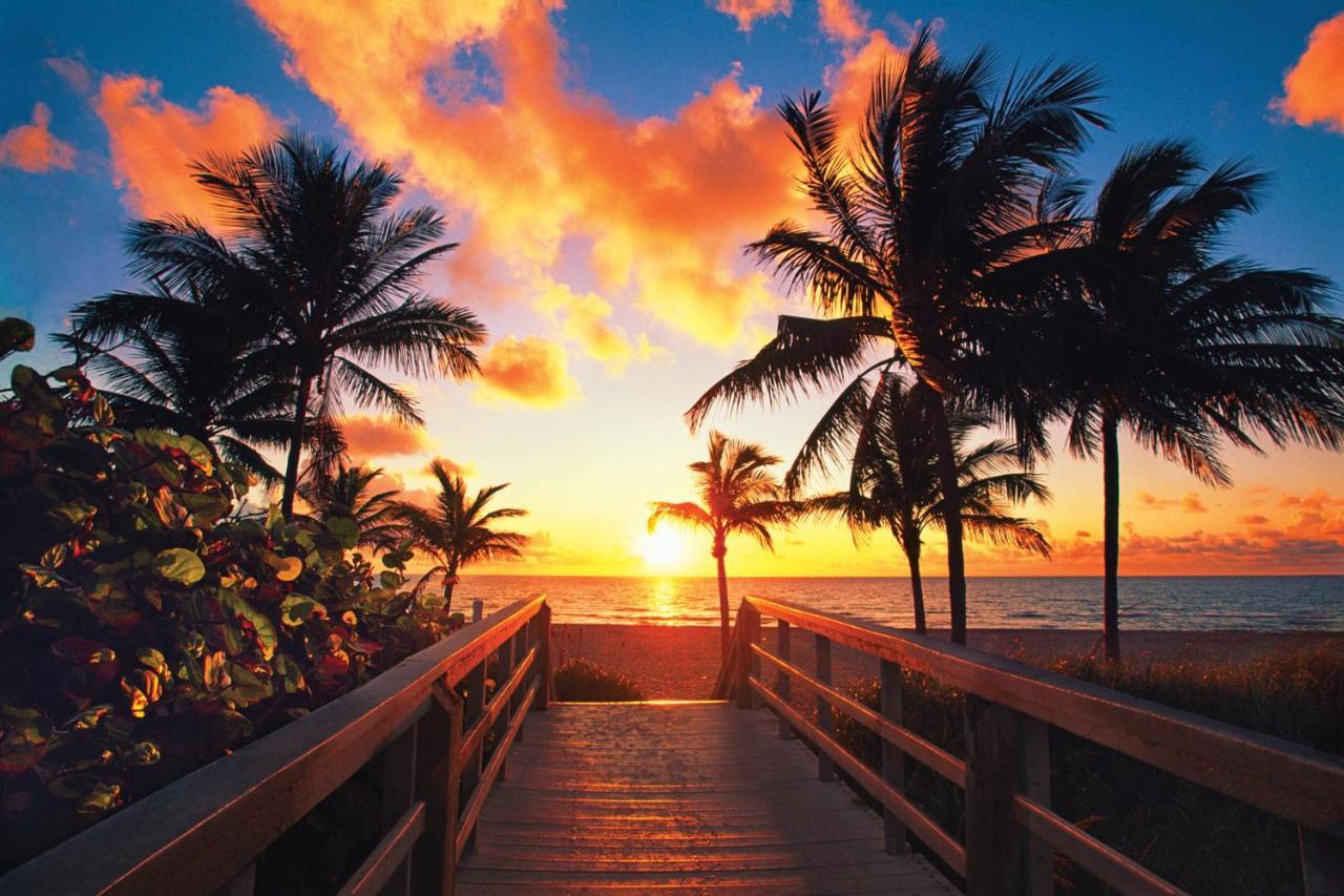 Luxury Private Beach Water-Side Ocean Baby Escape!! Daire Pompano Beach Dış mekan fotoğraf